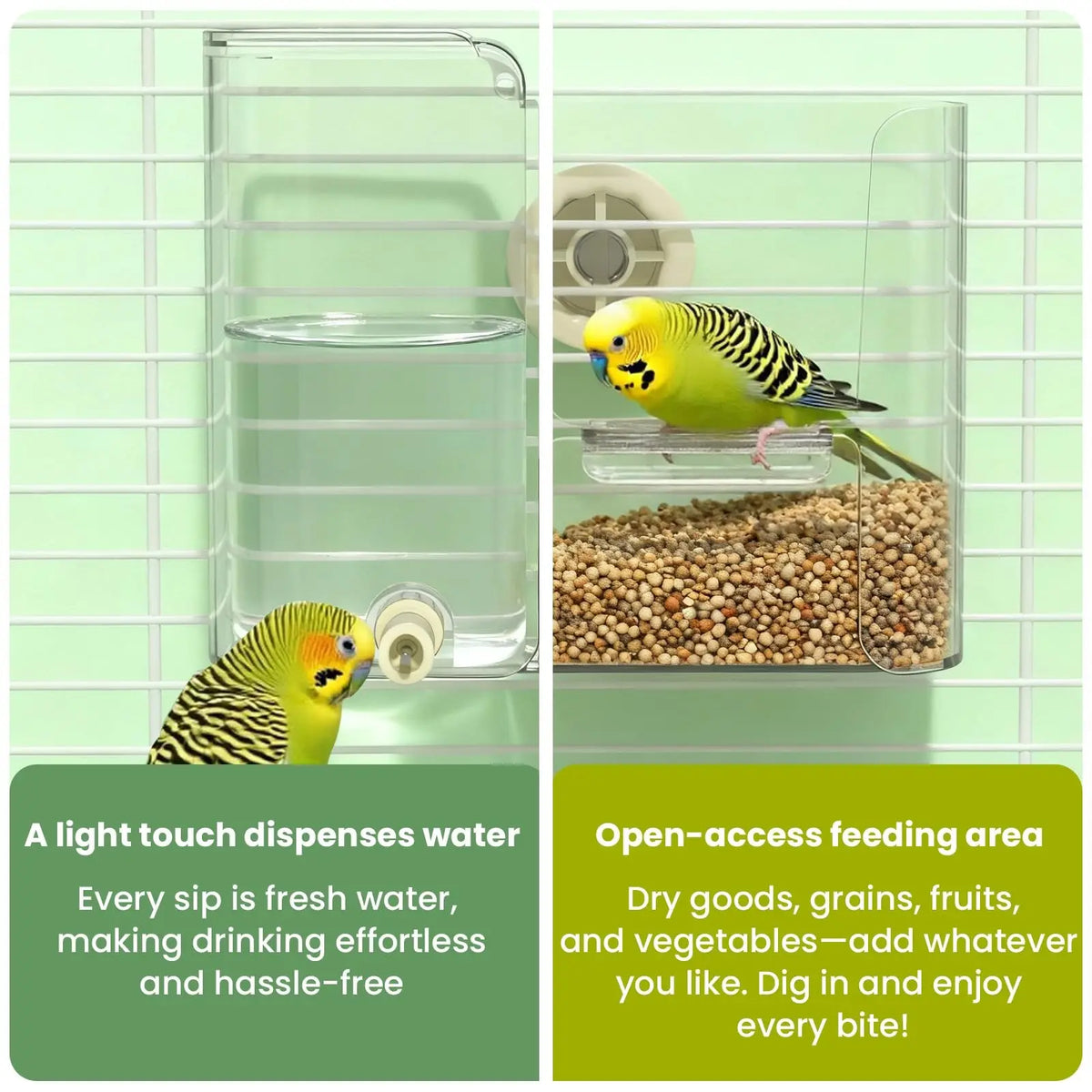 2-in-1 Bird Feeder & Water Dispenser – Automatic Food & Water Station for Small Birds